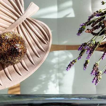 Merecido Descanso Sun