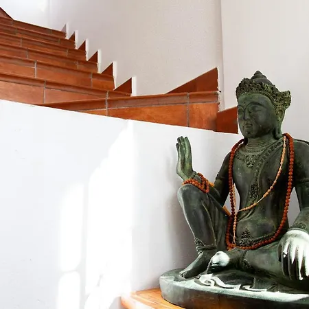 Merecido Descanso Sun